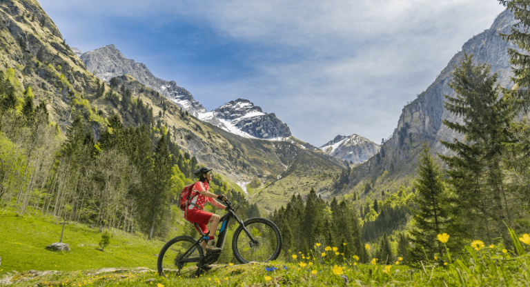 Read more about the article Why OceanWP Theme is the Best Choice for Your Sale Bikes Website’s Design and Functionality